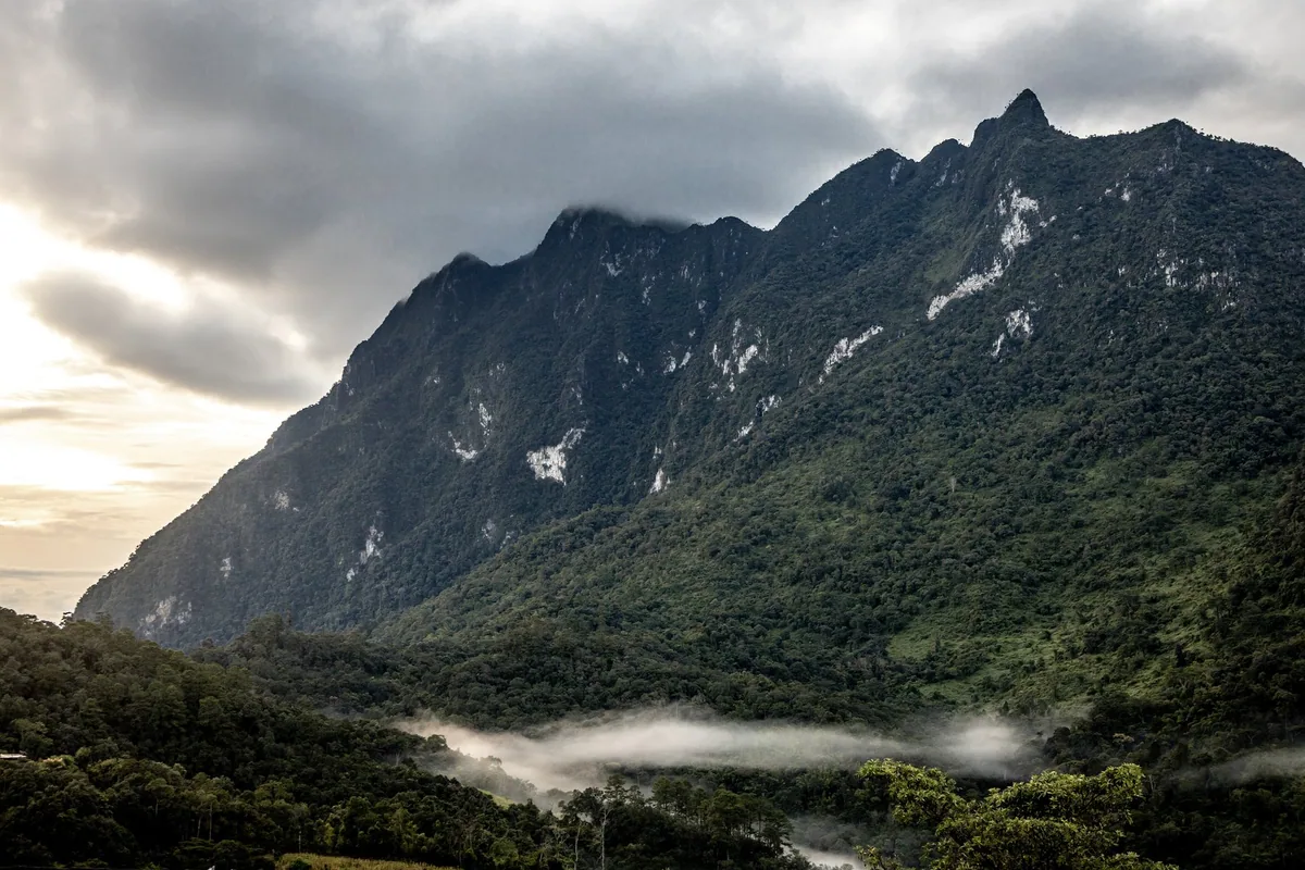 The forested limestone ridge of Doi Luang Chiang Dao with morning mist drifting through the valley below