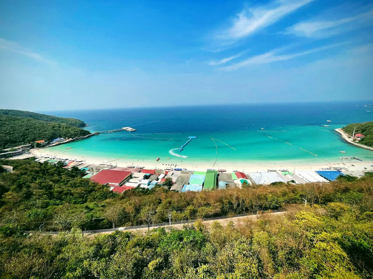 Turquoise bay and white beach lined with umbrellas on Koh Larn, seen from a forested hillside
