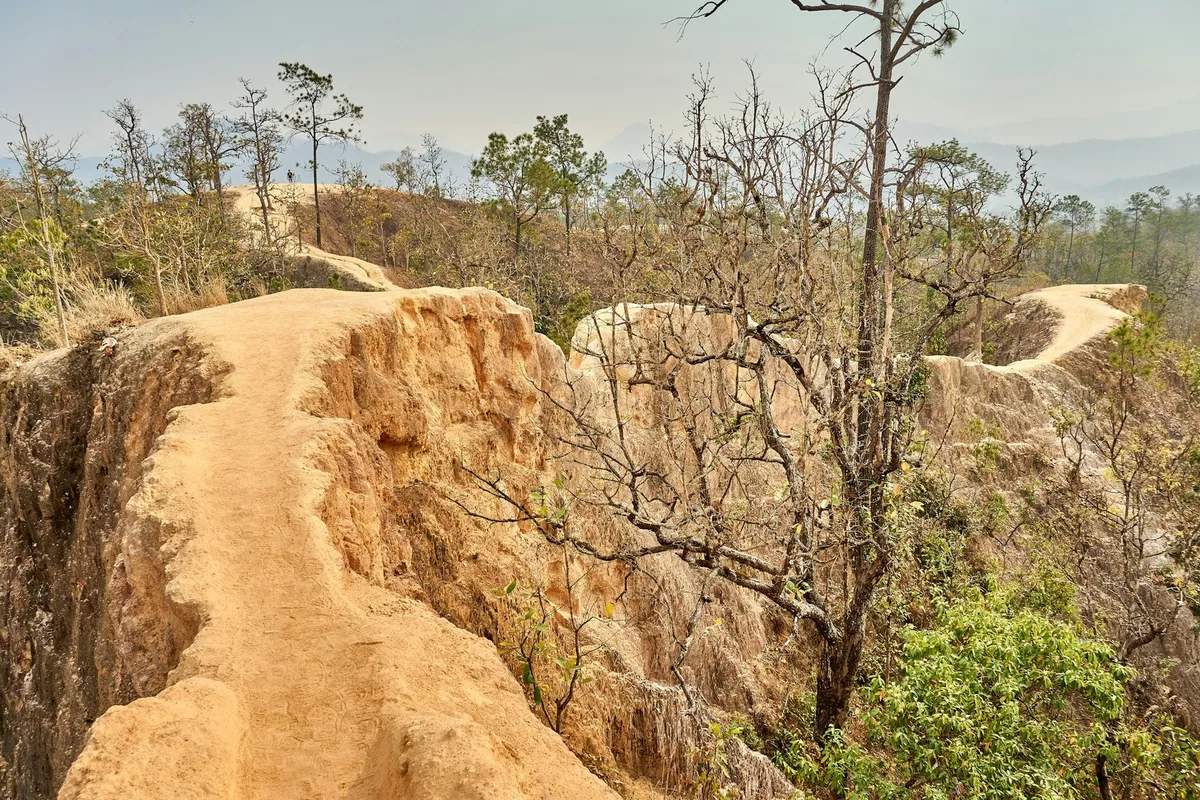 Narrow sandstone ridge path winding through dry forest at Pai Canyon