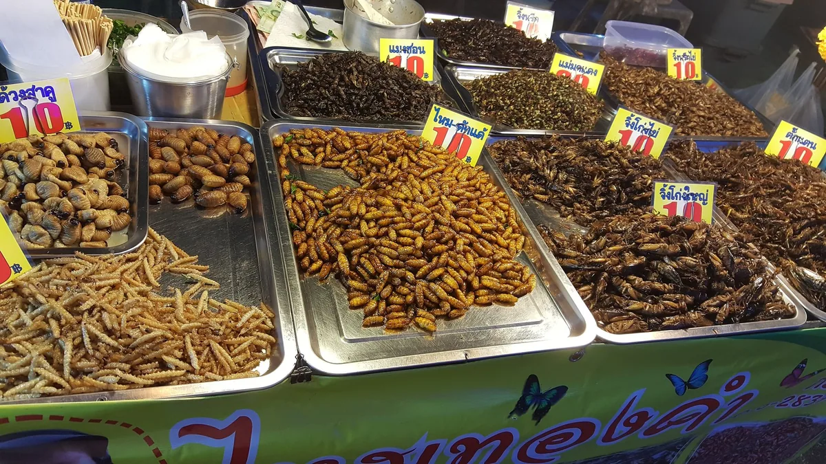 Market stall in Thailand with trays of fried silkworm pupae, bamboo worms, crickets and water bugs priced at 10 baht