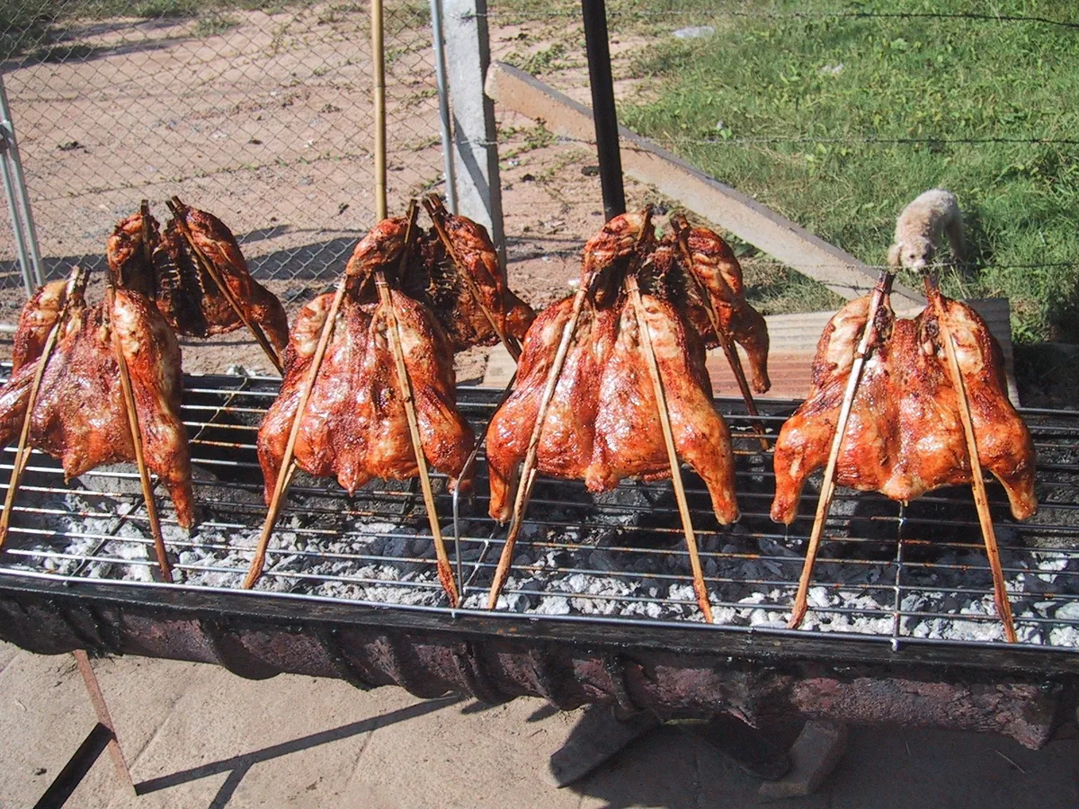 Whole chickens clamped in bamboo skewers grilling over charcoal at a roadside stall in Chiang Khong