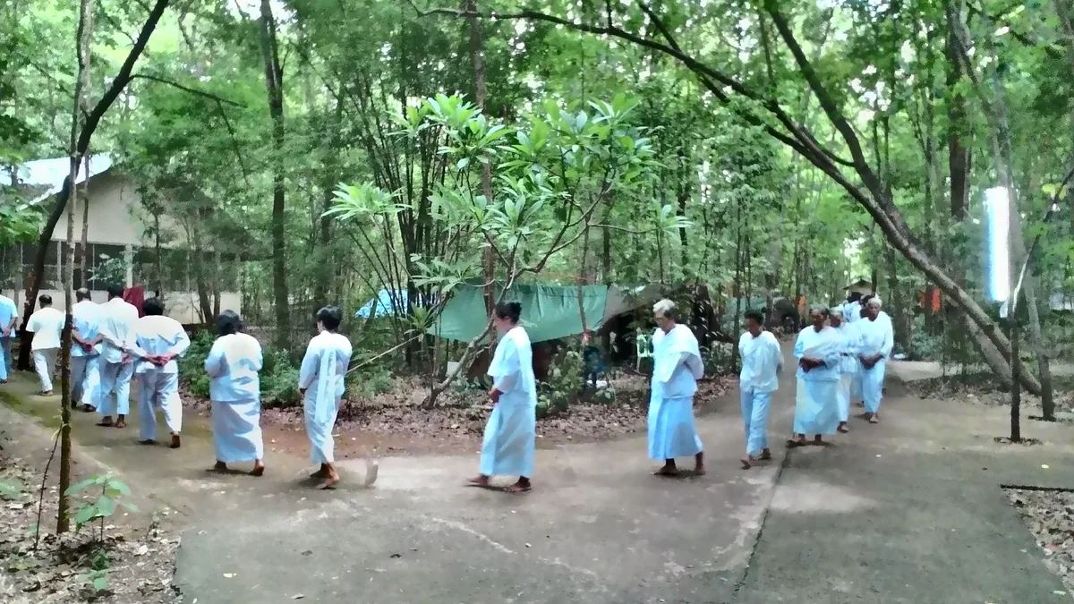 Lay meditators dressed in white practising walking meditation among the trees of a Thai forest temple