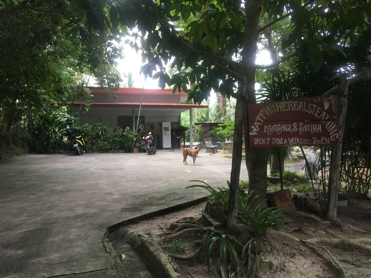 Shaded courtyard and low building of the Wat Pho herbal steam sauna on Koh Phangan, with its wooden sign under a tree