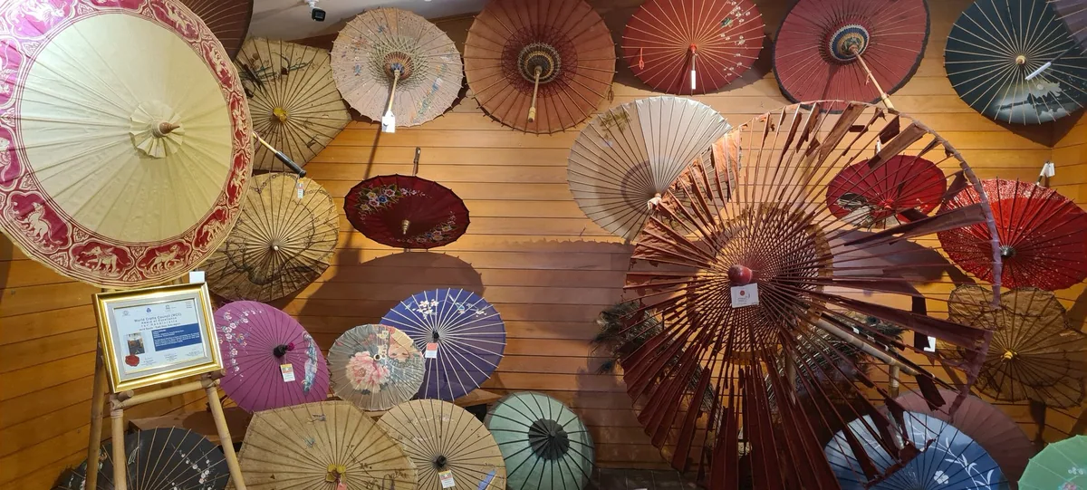 Hand-painted paper and silk umbrellas of many colours displayed on a wooden wall at a Chiang Mai umbrella workshop