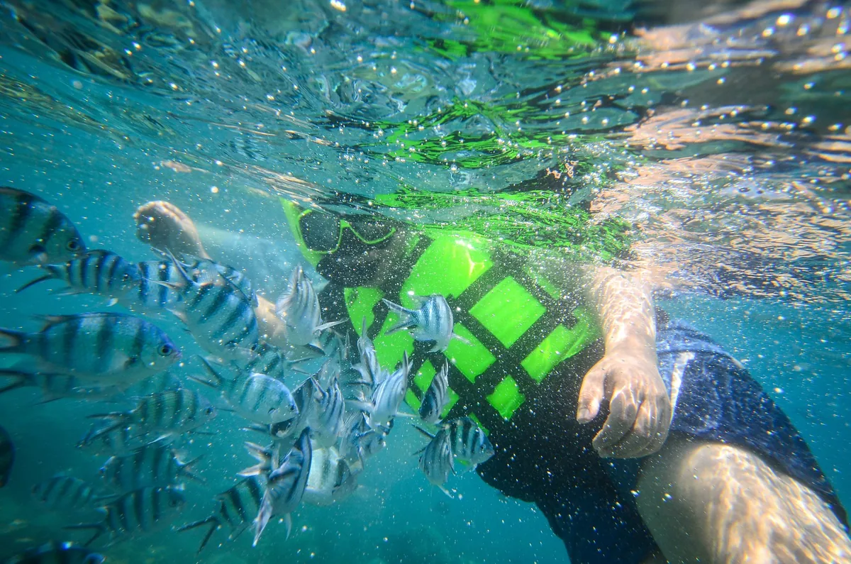 Snorkeler in a green life jacket surrounded by striped sergeant major fish in Mu Ko Chang National Park