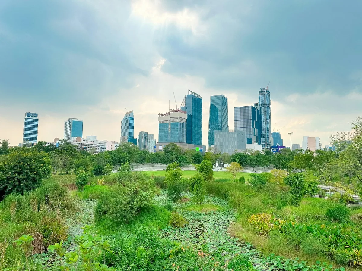 Office towers of central Bangkok rising above the green trees of a city park
