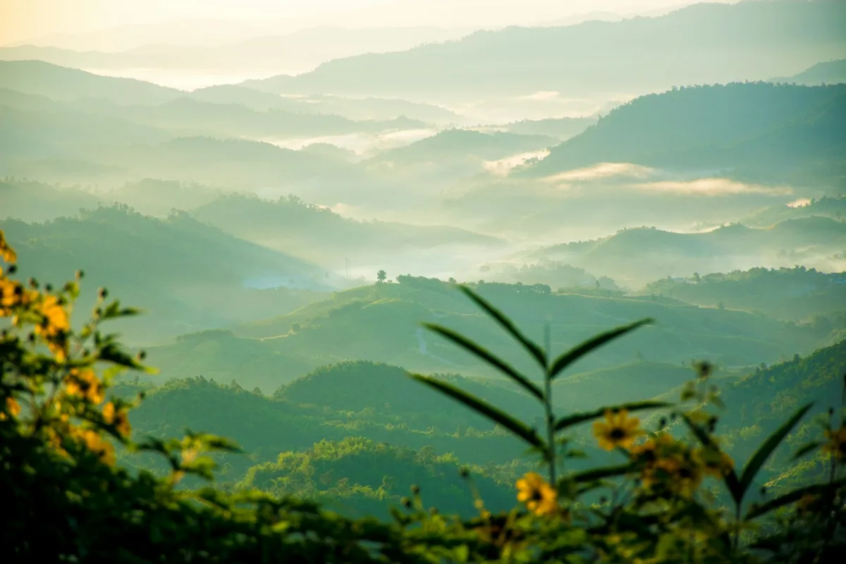 Misty forested ridges seen from Doi Hua Mae Kham near Mae Salong in northern Thailand